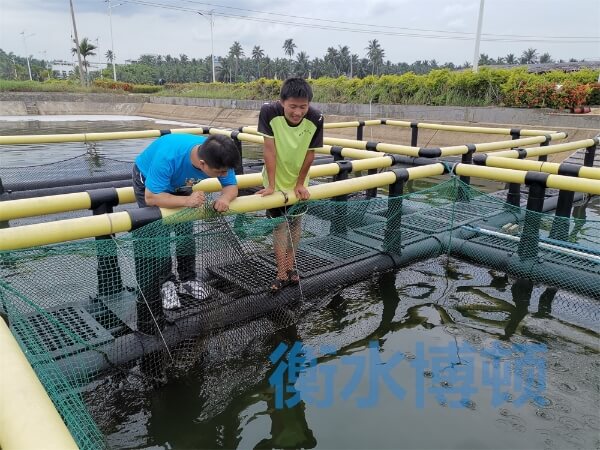 两个人在水产养殖基地网箱边检查网衣.